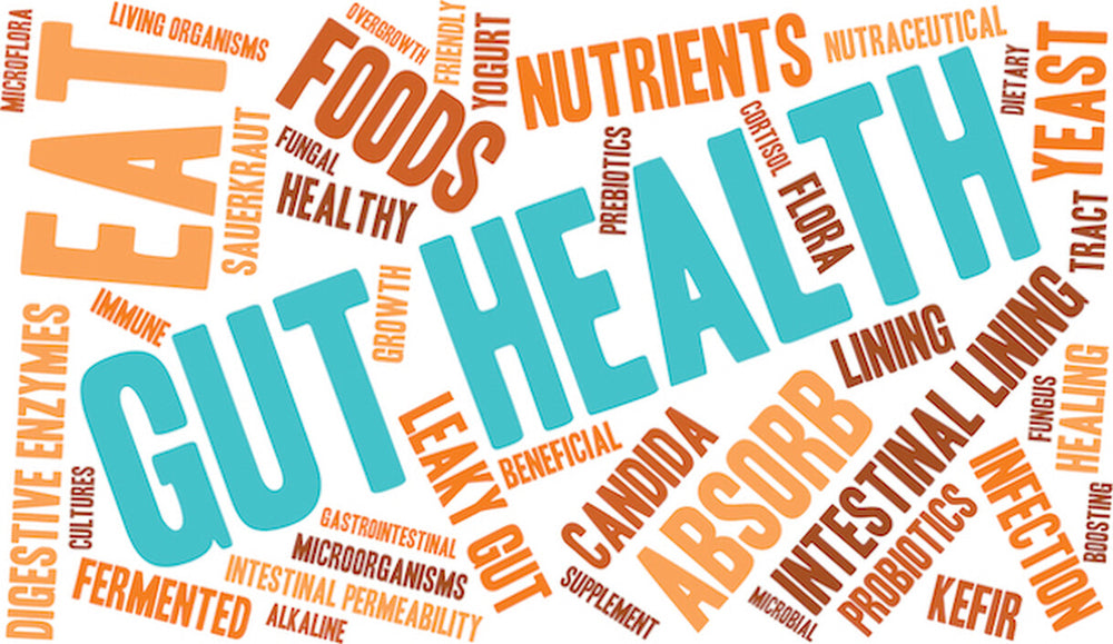 Gut Health and related words layered out