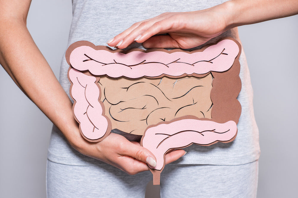 Woman with cartoon drawing of intestines and digestive track over her gut