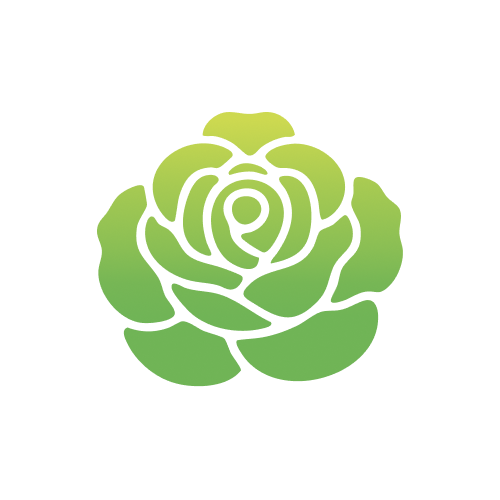 Upcycled Damask Rose Extract (Damasty®)